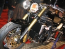 Triumph * 2048 x 1536 * (1.66MB)