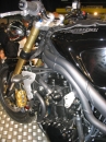 Triumph2 * 1536 x 2048 * (1.48MB)