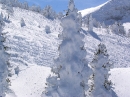 villars-08 * 2048 x 1536 * (1.6MB)