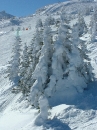 villars-19 * 6786 * 960 x 1280 * (641KB)