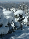 villars-33 * 960 x 1280 * (628KB)