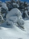 villars-34 * 960 x 1280 * (618KB)