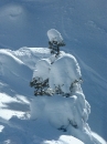 villars-39 * 960 x 1280 * (539KB)